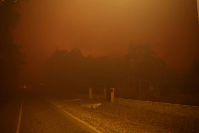 Une épaisse fumée due à un feu de forêt à Luglon, dans les Landes, le 13 août 2026 ( AFP / ROMAIN PERROCHEAU )