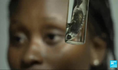 Mozambique : la renaissance du Parc national de Gorongosa