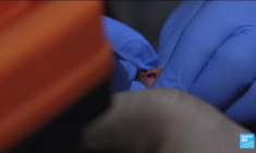 Sida : 39 millions de personnes vivent avec le VIH dans le monde