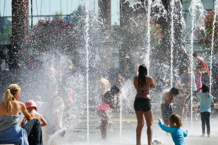 Des enfants jouent dans des jets d'eau au Parc André-Citroën à Paris le 29 juillet 2024 ( AFP / LUDOVIC MARIN )