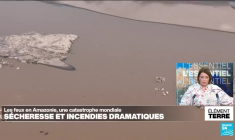 Les feux au Brésil: quand nos puits carbones partent en fumée
