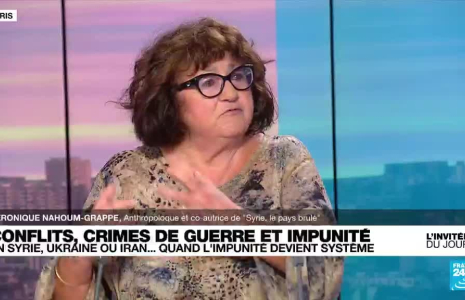 Crimes de guerre présumés en Syrie : "L’impunité dans une dictature repose notamment sur la cruauté"
