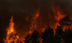 La fumée d’un incendie de forêt s’élevant tandis que les flammes brûlent les arbres et la végétation dans la région de Porto Germeno, le 1er août 2026 ( AFP / Angelos TZORTZINIS )