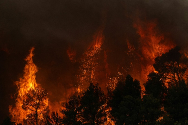 La fumée d’un incendie de forêt s’élevant tandis que les flammes brûlent les arbres et la végétation dans la région de Porto Germeno, le 1er août 2026 ( AFP / Angelos TZORTZINIS )