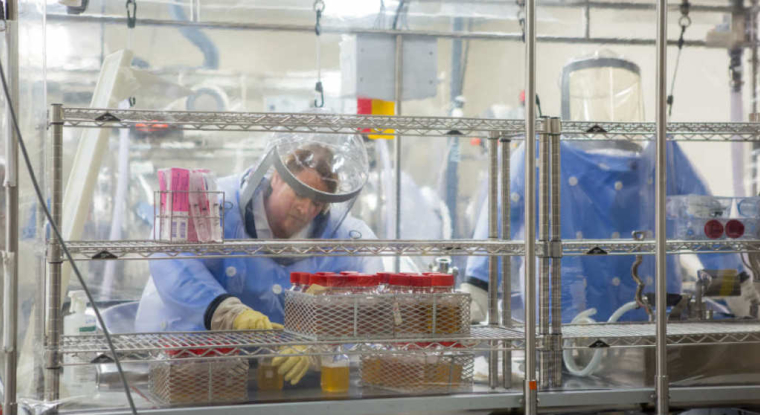 En 2017, Eurofins a racheté 70 sociétés, pour un montant total de 1,5 milliard d’euros. (© cc Tom Wolf)