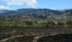 Les dégâts après le passage d'un incendie à Mailhac, dans le Tarn, le 2 juillet 2026 ( AFP / Lionel BONAVENTURE )
