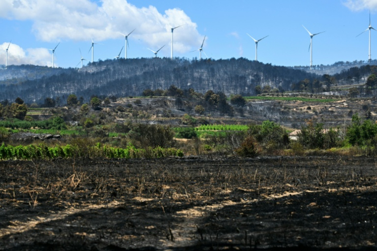 Les dégâts après le passage d'un incendie à Mailhac, dans le Tarn, le 2 juillet 2026 ( AFP / Lionel BONAVENTURE )