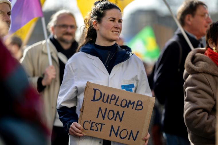 Une manifestante tient une pancarte lors d'un rassemblement contre la loi Duplomb, le 7 février 2026 à Brest (Finistère) ( AFP / Fred TANNEAU )