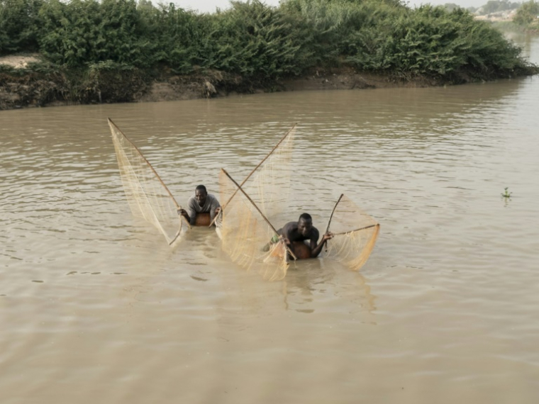 Des pêcheurs utilisent des filets pour attraper des poissons alors qu'ils sont allongés sur des calebasses dans la rivière Sokoto, appelée localement Maten Fada, à Argungu, dans l'État de Kebbi, au nord du Nigeria, le 12 avril 2025 ( AFP / Suzanne Lassen )