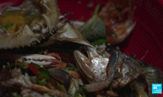 La Corée du Sud, championne du recyclage des biodéchets