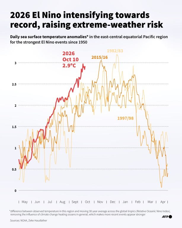 Infrographie représentant l'évolution des anomalies quotidiennes de température de la surface de la mere dans l'est de l'océan Pacifique pour le phénomène El Niño de 2026 et pour les précédents épisodes majeurs d'El Niño ( AFP / Jonathan WALTER )