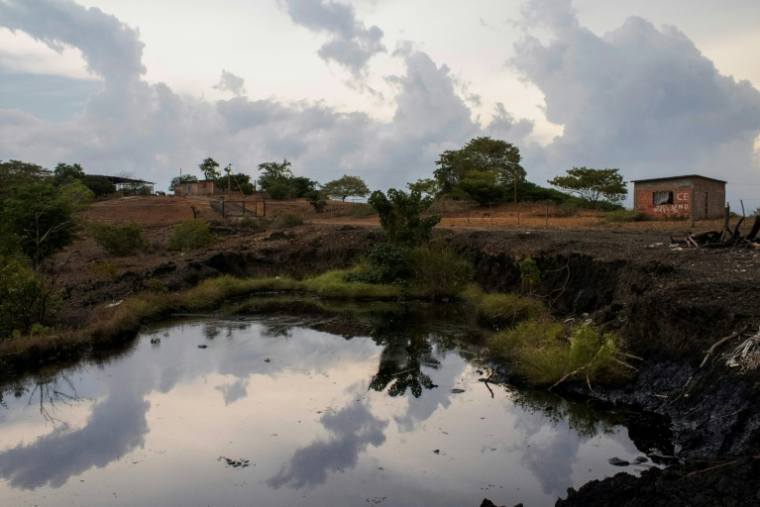 Flaque contenant des résidus de pétrole brut remontés à la surface à Cerro Miosa, Mene Grande (État de Zulia, Venezuela), le 19 septembre 2026 ( AFP / Margioni BERMÚDEZ )