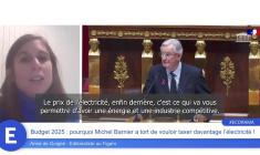 Budget 2025 : pourquoi Michel Barnier a tort de vouloir taxer davantage l'électricité !