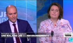 La dermatose nodulaire, une maladie liée à l'environnement?