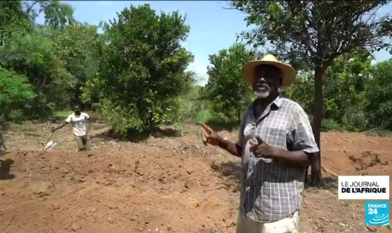 Togo : l'apprentissage à l'agroécologie devient populaire