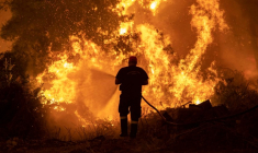 LA GRÈCE CONSTATE L'AMPLEUR DES DÉGÂTS APRÈS DES FEUX "CATASTROPHIQUES"