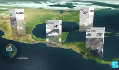 Ils ont décroché l'or : des champions olympiques racontent leur histoire