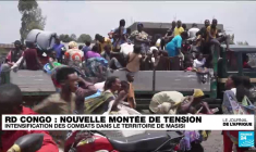 ISMAÏLA MADIOR FALL, MAE Sénégalais, réponds aux questions de France 24