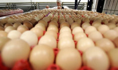 FRANCE: LA SOCIÉTÉ MATINES ANNONCE LA CESSATION DE SES ACTIVITÉS