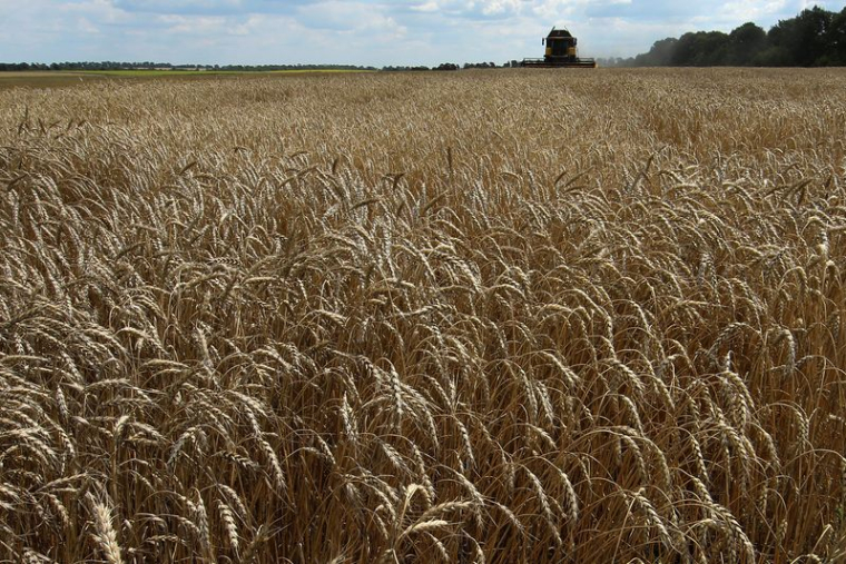 CÉRÉALES: L'UKRAINE S'ATTEND À ACCUEILLIR UN PREMIER NAVIRE VENDREDI, SELON OFFICIEL