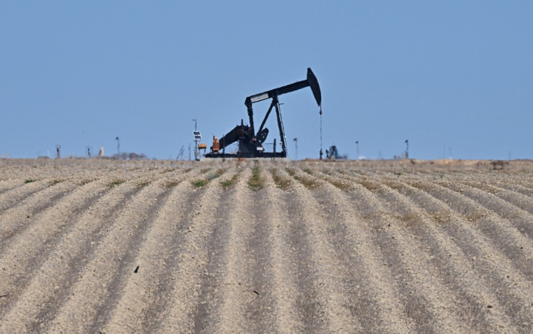 ( AFP / FREDERIC J. BROWN )