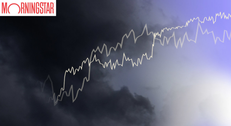 Dans la sélection d'actions du bureau d'analyse Morningstar, trois sociétés françaises. (© DR)