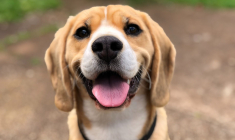 (Crédits photo : Unsplash - Marliese Streefland )