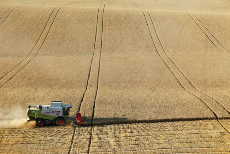 LA RUSSIE POURRAIT SUSPENDRE SES EXPORTATIONS DE CÉRÉALES JUSQU'AU 30 JUIN, SELON INTERFAX