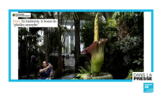 "L'Inde confrontée à une effroyable flambée épidémique"