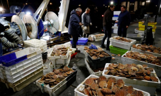 PÊCHE: LA GRANDE-BRETAGNE LANCE UN ULTIMATUM À LA FRANCE