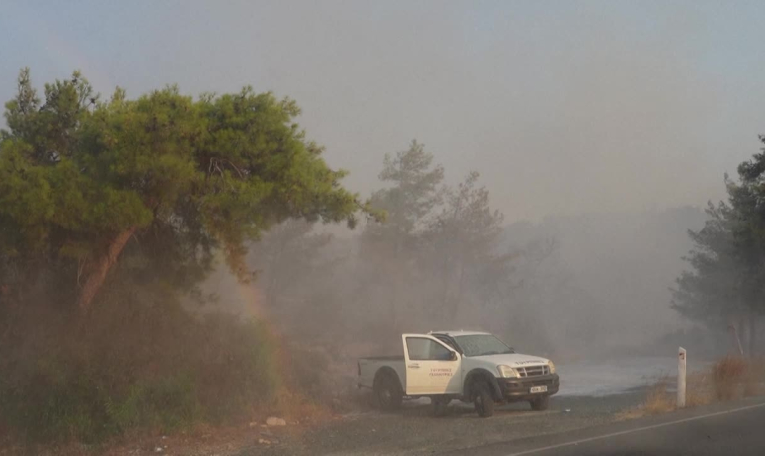 Chypre: les pompiers luttent contre un feu de forêt dans la province de Limassol