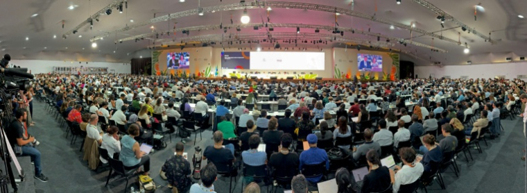 Session plénière de la COP30 à Belem, Brésil, le 22 novembre 2025 ( AFP / Pablo PORCIUNCULA )