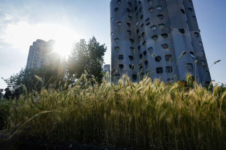 Des tours du quartier Pablo-Picasso à Nanterre, le 6 juin 2024 ( AFP / Geoffroy VAN DER HASSELT )