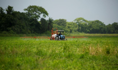 FRANCE: UN DÉCRET RECONNAÎT LES CANCERS DE LA PROSTATE LIÉS AUX PESTICIDES COMME MALADIE PROFESSIONNELLE