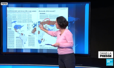 Plainte contre Israël pour "génocide": "L'Etat hébreu est coupable, dans les faits"