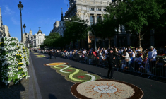 Des tapis de pétales de fleurs dans une rue de Madrid avant la messe célébrée par le pape le 7 juin 2026 ( AFP / Stefano RELLANDINI )