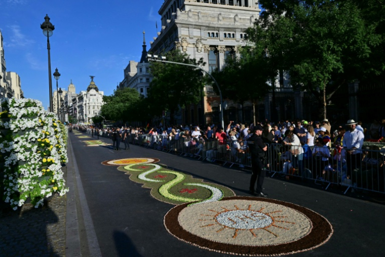 Des tapis de pétales de fleurs dans une rue de Madrid avant la messe célébrée par le pape le 7 juin 2026 ( AFP / Stefano RELLANDINI )