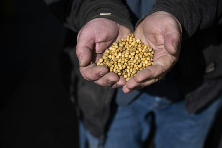 L'agriculteur Travis Hutchison montre des graines de soja qu'il a apportées à un négociant en céréales à Queen Anne, dans le Maryland, le 10 octobre 2025 ( AFP / ROBERTO SCHMIDT )