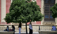 Des personnes se protègent de la chaleur à l'ombre d'un arbre pendant la vague de chaleur extrême qui frappe Séville en Espagne, ville où les températures dépassent les 40°C, le 12 août 2025 ( AFP / CRISTINA QUICLER )
