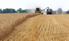 ( AFP / MYCHELE DANIAU )