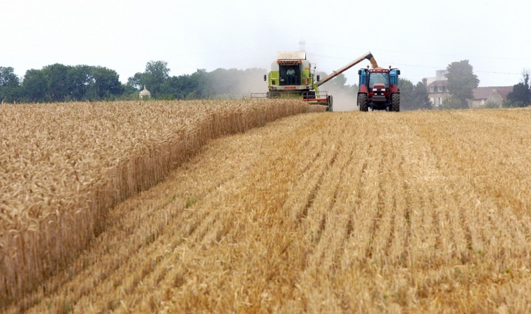 ( AFP / MYCHELE DANIAU )