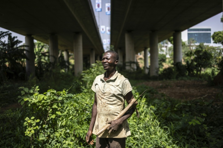 L'agriculteur Haruna Amadou dans une ferme urbaine du quartier d'affaires d'Abuja, le 23 mai 2025 au Nigeria ( AFP / OLYMPIA DE MAISMONT )
