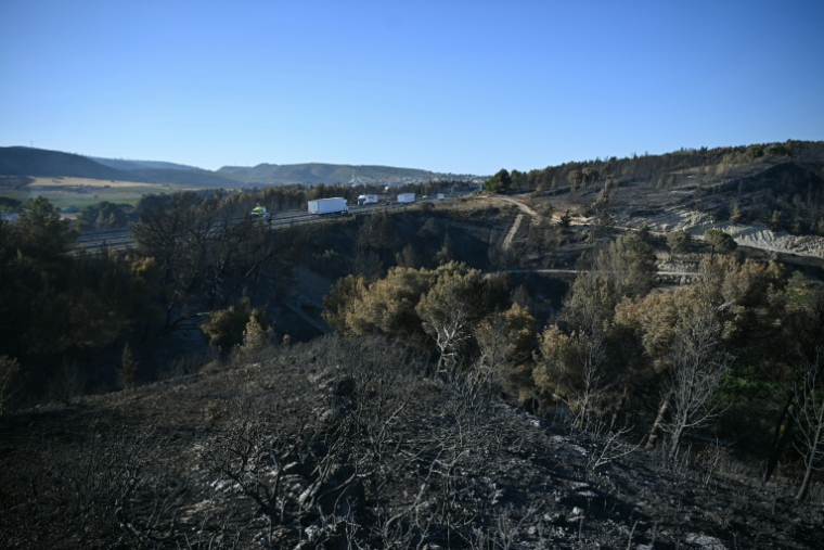 Vue de Prat-de-Cest près de Narbonne, après un incendie le 8 juillet 2025 ( AFP / Matthieu RONDEL )