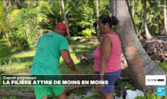 Martinique : une semaine de mobilisation contre la vie chère