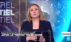 Flambée du prix du riz au Japon : démission du ministre de l'Agriculture après une polémique