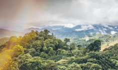 EDMOND DE ROTHSCHILD AM