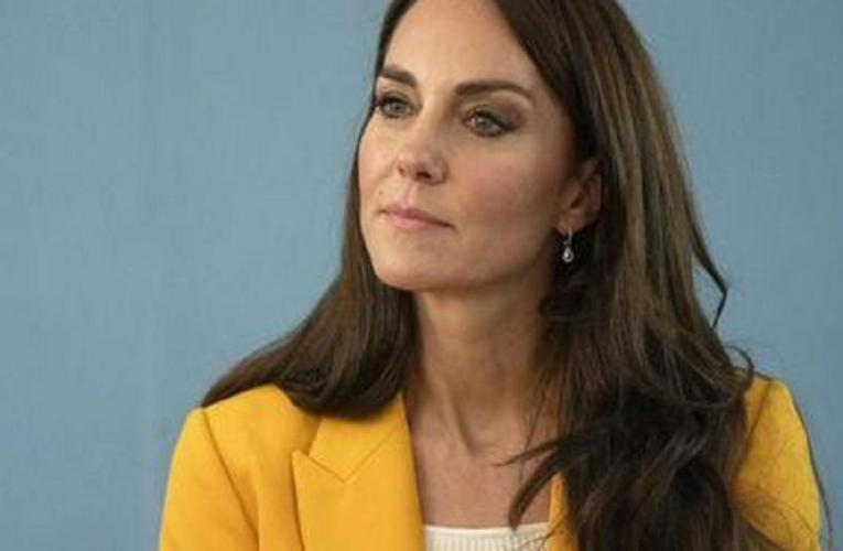 Kate Middleton a fait sensation en arborant un top H&M lors d’une sortie officielle. ( crédit photo : Capture d’écran Pinterest )