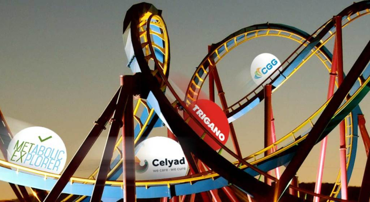 Les actions CGG, Trigano, Celyad et Metabolic Explorer ne sont pas à mettre entre toutes les mains. (© montage / image retouchée cc Beyond Neon)