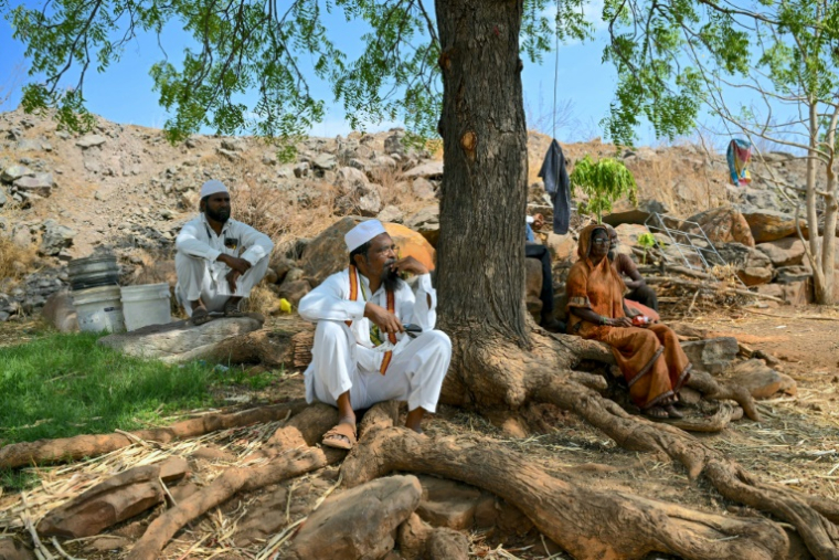 Khatijabi (d), dont le fils Shaikh Latif Sheru, agriculteur, s'est suicidé en raison de l'accumulation de prêts financiers, est assise à l'ombre d'un arbre avec les membres de sa famille sur leurs terres agricoles du village de Mochi Pimpalgaon, dans le district de Beed, dans l'Etat du Maharashtra, le 3 mai 2025 en Inde ( AFP / Indranil MUKHERJEE )