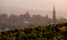 Vue sur le vignoble de Chablis